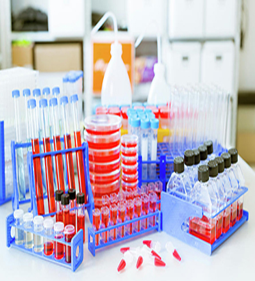 Cell Culture & Microbiology